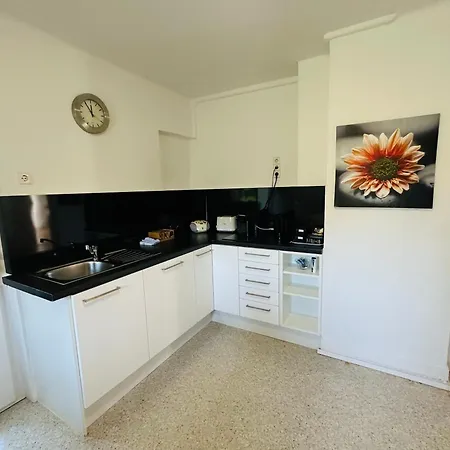 Jule Apartment Grenzach-Wyhlen